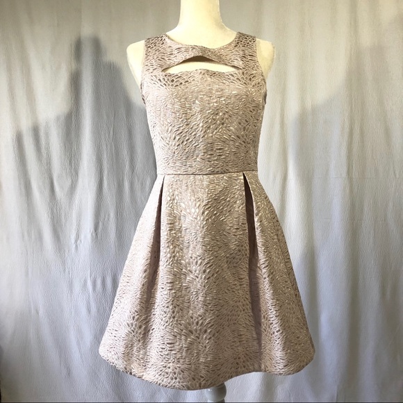 Frenchi Dresses & Skirts - Frenchi Light Pink Metallic Fit & Flare Dress